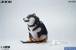 1/6 Scale fat Shiba Inu