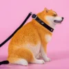 1/6 Scale fat Shiba Inu