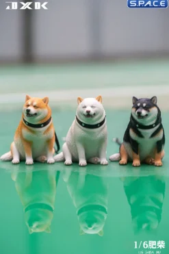 1/6 Scale fat Shiba Inu