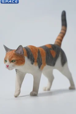 1/6 Scale Felis Catus
