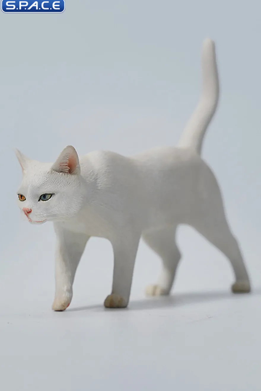 1/6 Scale Felis Catus