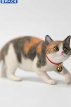 1/6 Scale Felis Catus 3.0 Version A2