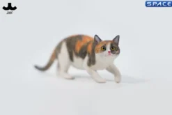 1/6 Scale Felis Catus 3.0 Version A2
