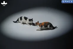 1/6 Scale Felis Catus 3.0 Version A2
