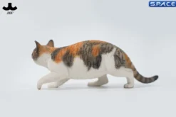 1/6 Scale Felis Catus 3.0 Version A2