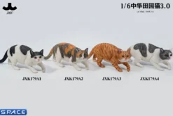 1/6 Scale Felis Catus 3.0 Version A4