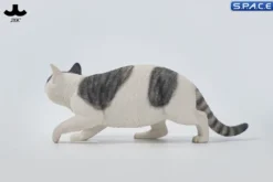 1/6 Scale Felis Catus 3.0 Version A4