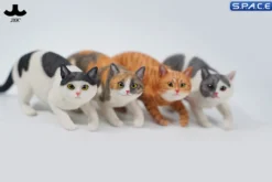 1/6 Scale Felis Catus 3.0 Version A4