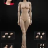 1/6 Scale Female Body