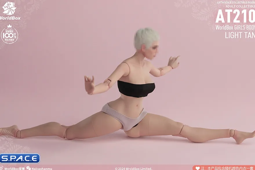 1/6 Scale female Body AT210B