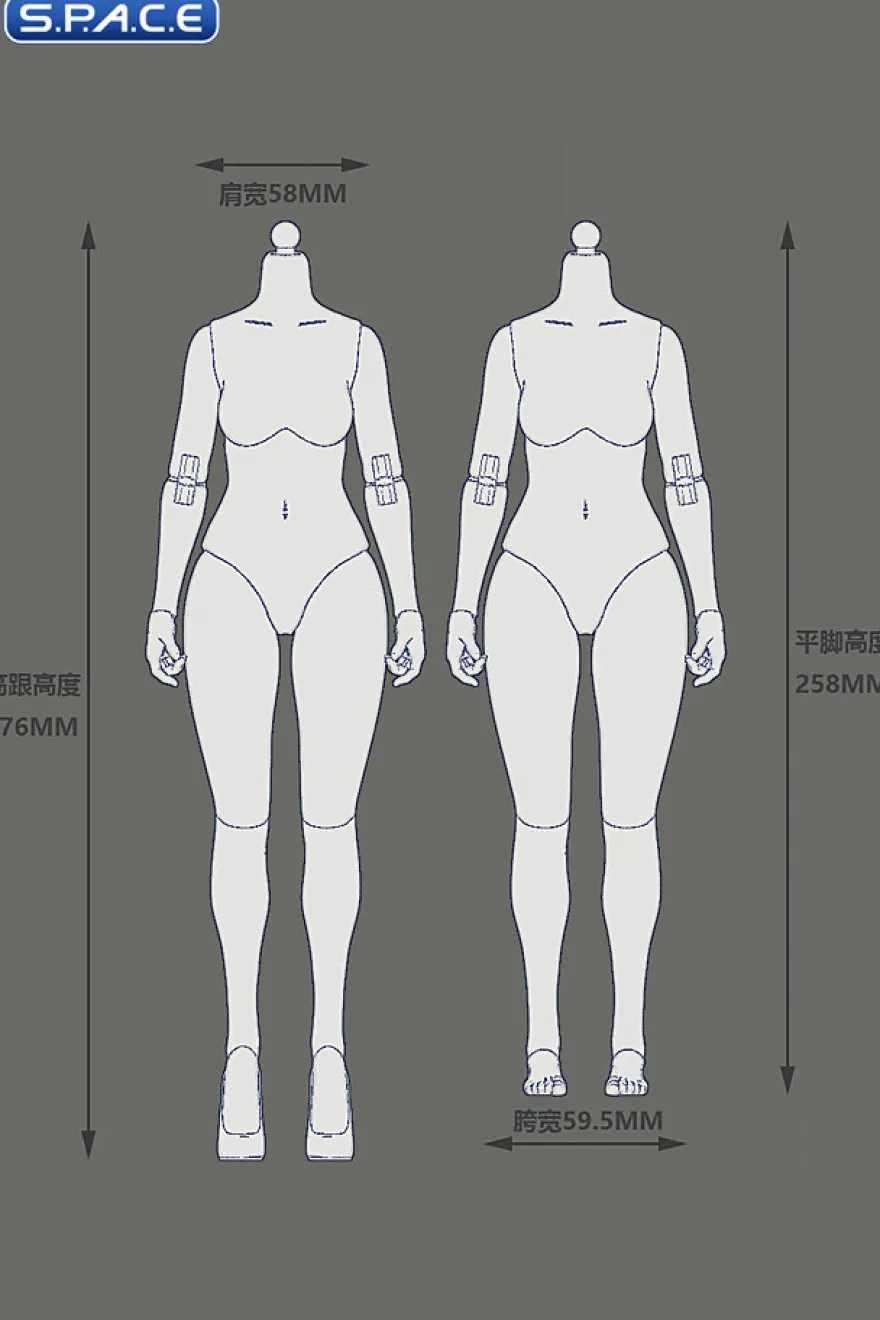 1/6 Scale female Body EC3028-P - large Bust Version