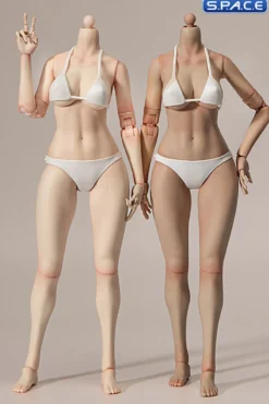 1/6 Scale female Body EC3028-P - large Bust Version