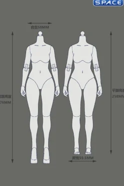 1/6 Scale female Body EC3028-T - large Bust Version