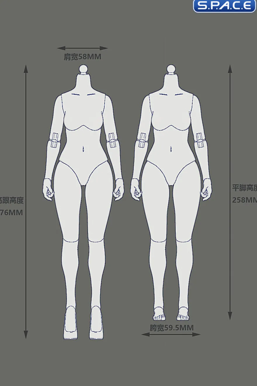 1/6 Scale female Body EC3027-T - medium Bust Version