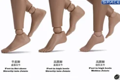 1/6 Scale female suntan Body