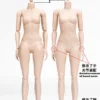 1/6 Scale female suntan Body