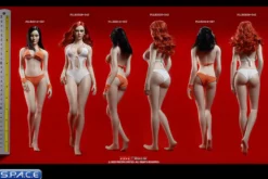 1/6 Scale female super-flexible