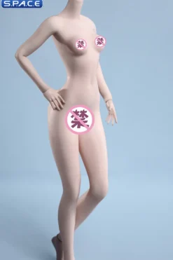 1/6 Scale female super-flexible seamless pale Body with small breast / headless