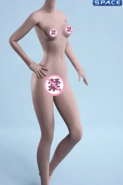 1/6 Scale female super-flexible seamless suntan Body with small breast / headless