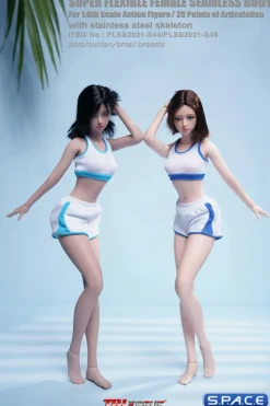1/6 Scale female super-flexible seamless pale Body with small breast and head sculpt