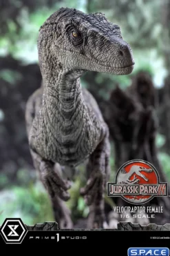 1/6 Scale Female Velociraptor Legacy Museum Collection Statue