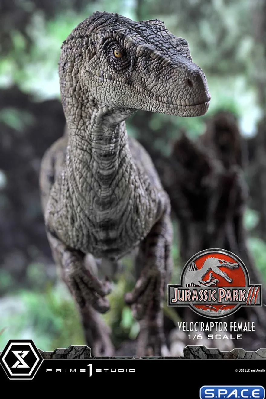 1/6 Scale Female Velociraptor Legacy Museum Collection Statue