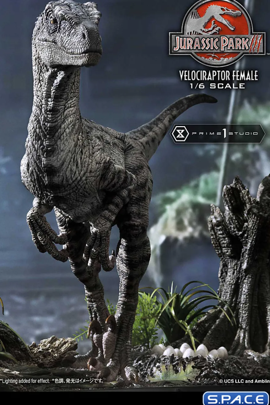 1/6 Scale Female Velociraptor Legacy Museum Collection Statue