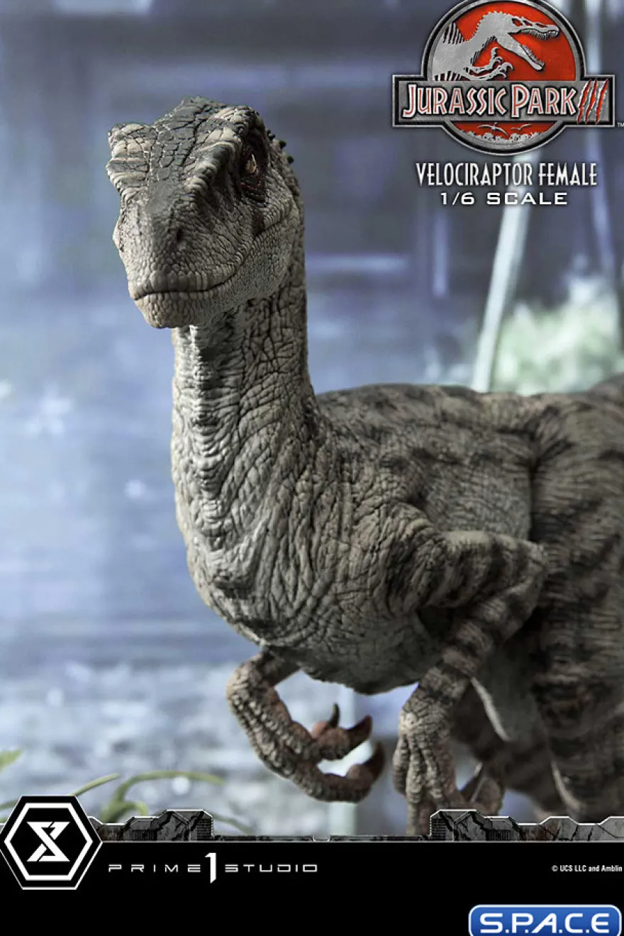 1/6 Scale Female Velociraptor Legacy Museum Collection Statue