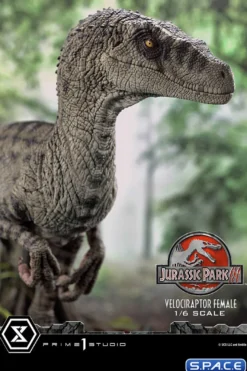 1/6 Scale Female Velociraptor Legacy Museum Collection Statue