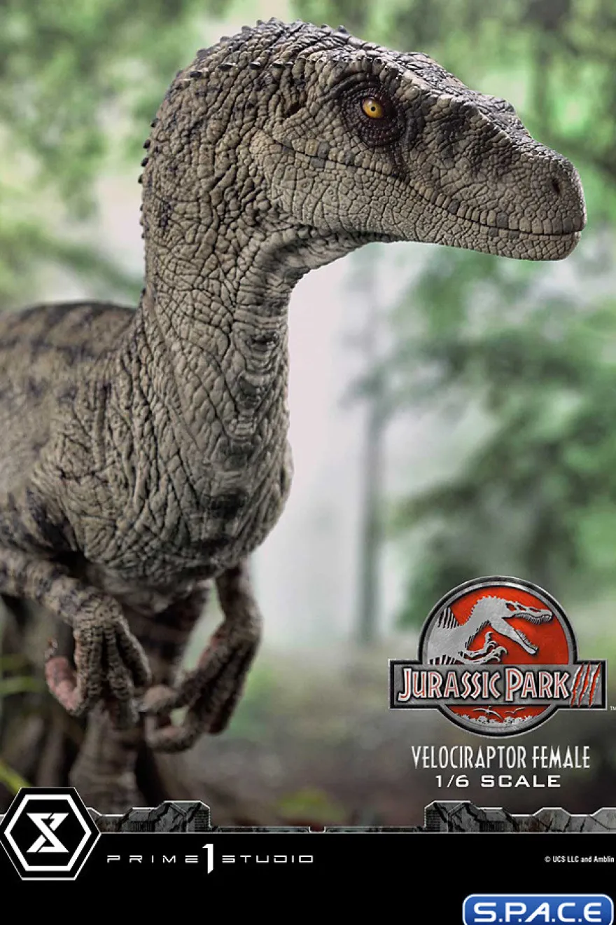 1/6 Scale Female Velociraptor Legacy Museum Collection Statue
