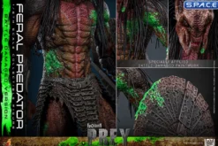 1/6 Scale Feral Predator Battle Damaged Version TV Masterpiece TMS173