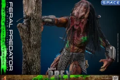 1/6 Scale Feral Predator Battle Damaged Version TV Masterpiece TMS173