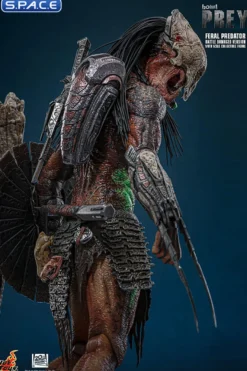 1/6 Scale Feral Predator Battle Damaged Version TV Masterpiece TMS173