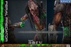 1/6 Scale Feral Predator Battle Damaged Version TV Masterpiece TMS173