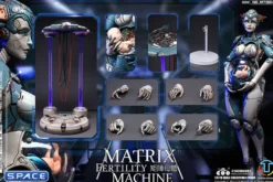 1/6 Scale Fertility Machine Exclusive - Matrix