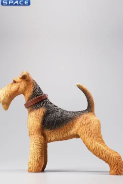 1/6 Scale Foxterrier