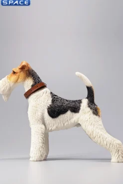 1/6 Scale Foxterrier