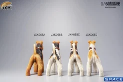 1/6 Scale Foxterrier