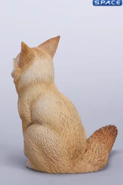 1/6 Scale Fox Version A
