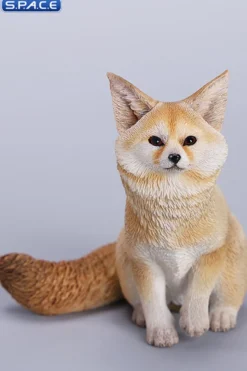 1/6 Scale Fox Version A