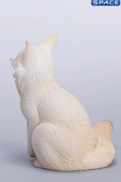 1/6 Scale Fox Version B