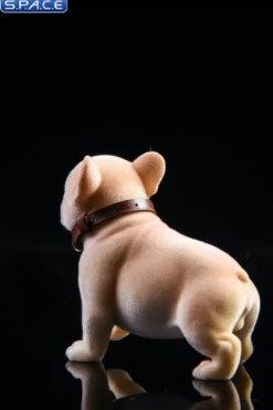 1/6 Scale French Bulldog Puppy