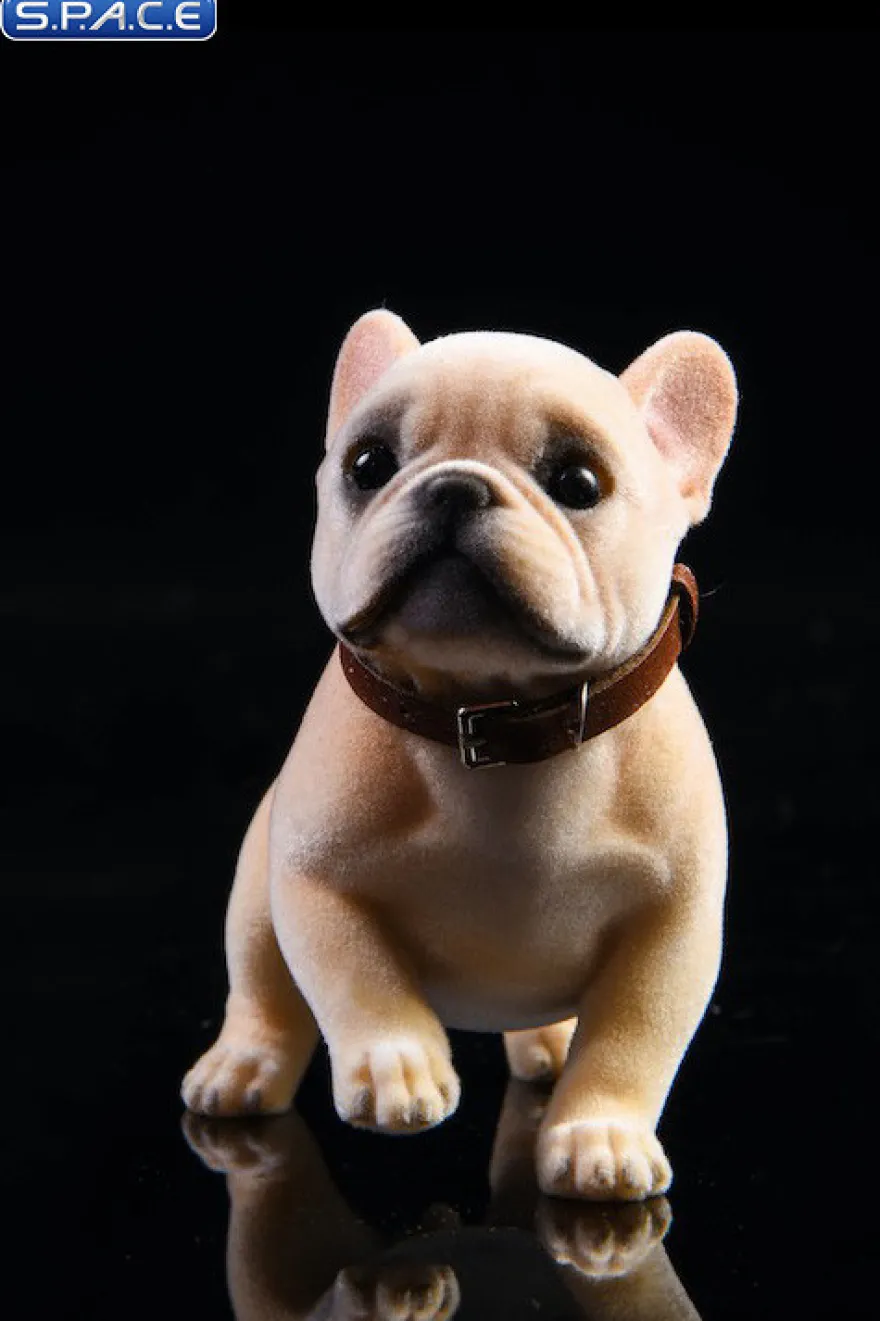 1/6 Scale French Bulldog Puppy