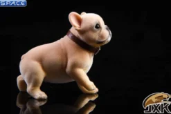 1/6 Scale French Bulldog Puppy