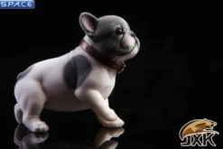 1/6 Scale French Bulldog Puppy