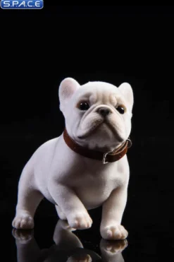 1/6 Scale French Bulldog Puppy