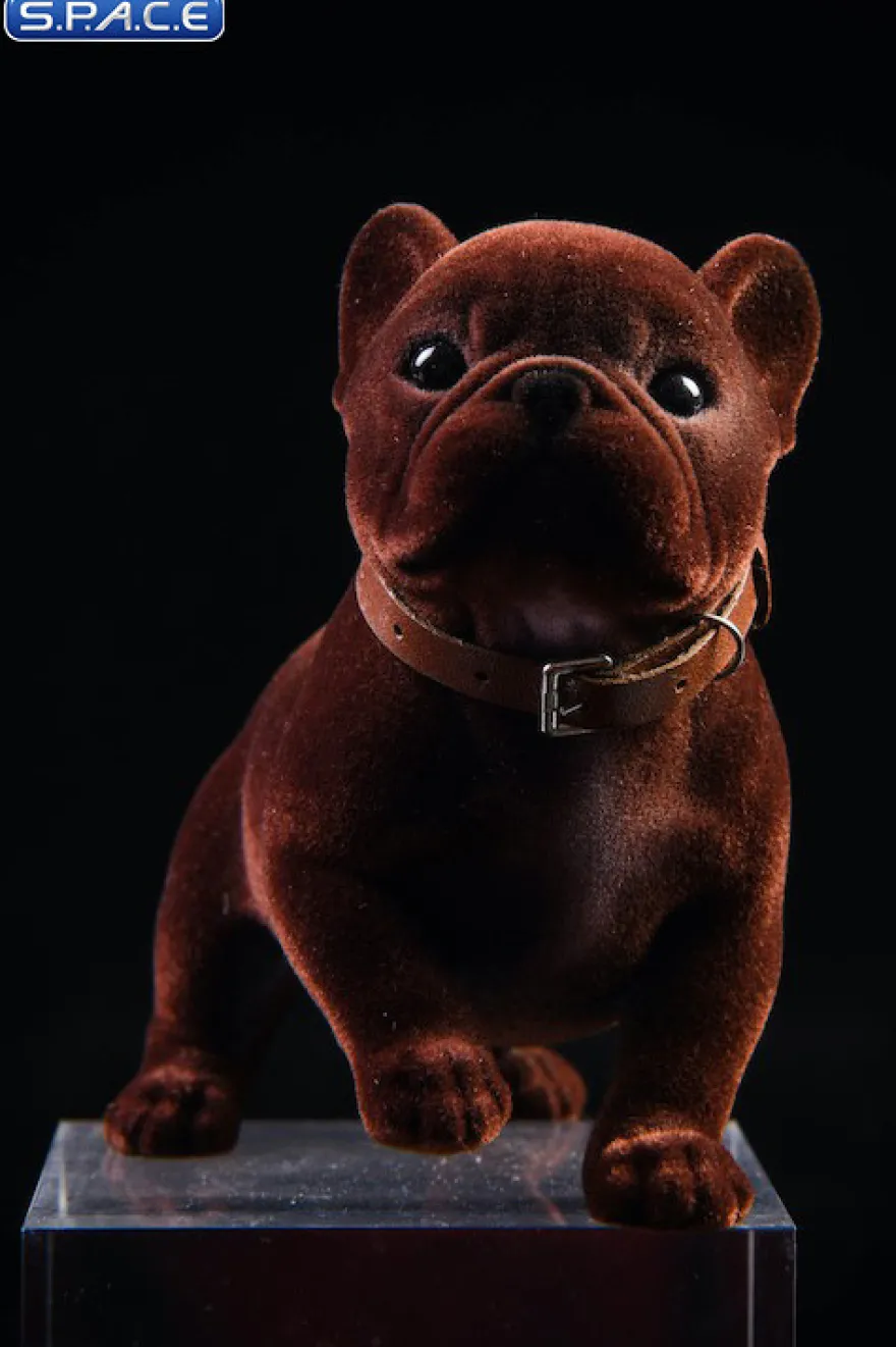 1/6 Scale French Bulldog Puppy