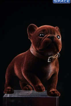 1/6 Scale French Bulldog Puppy