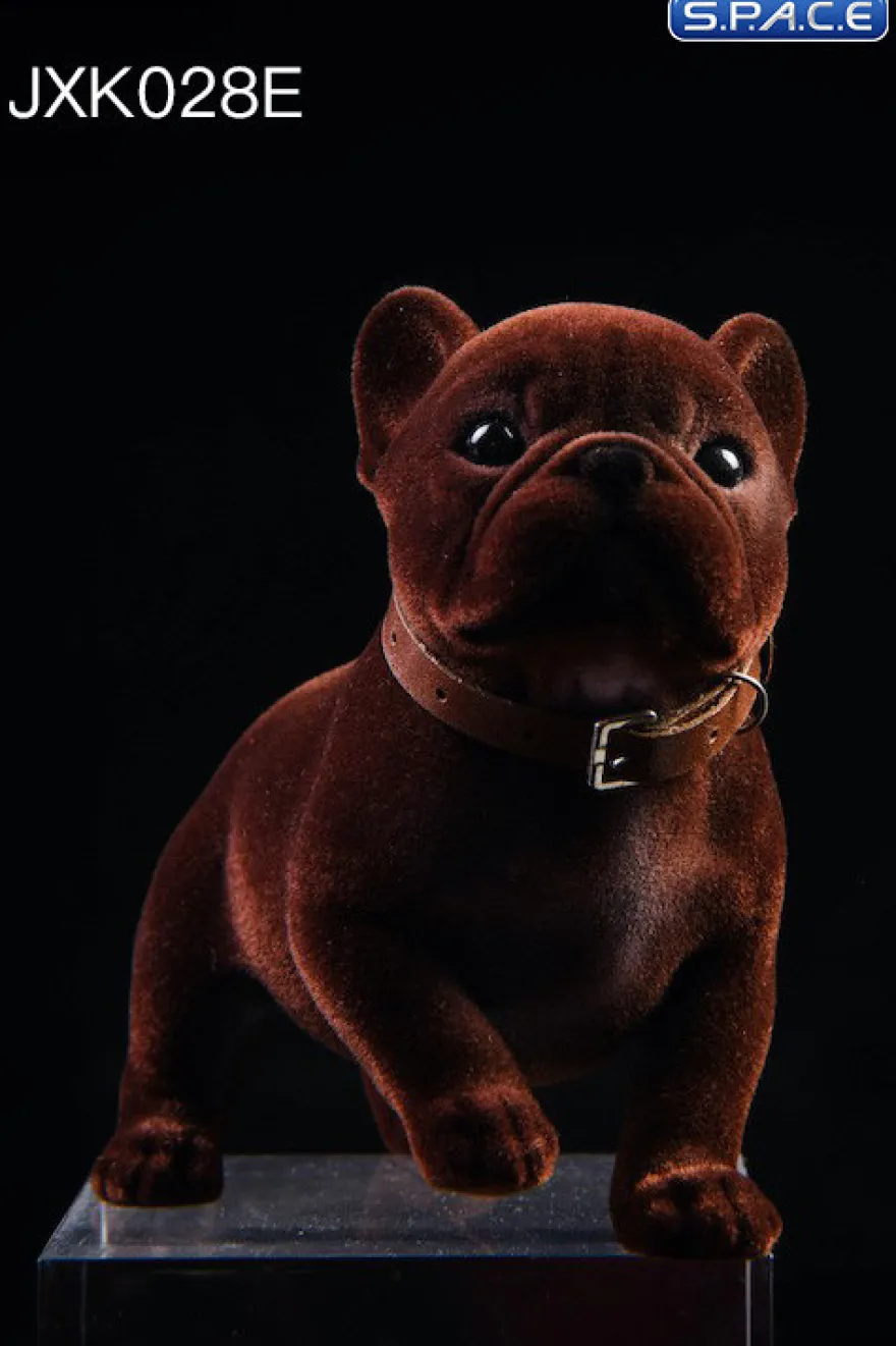 1/6 Scale French Bulldog Puppy