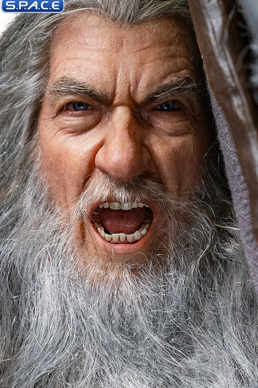 1/2 Scale Gandalf the Grey Ultimate Master Forge Statue